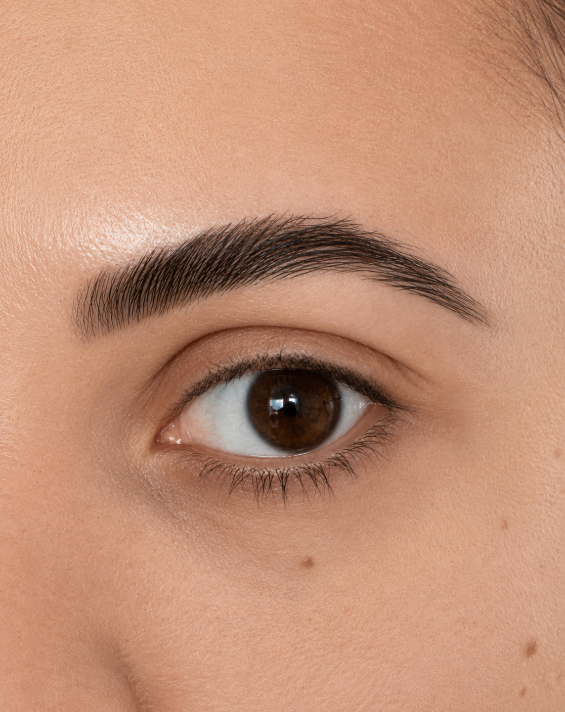 Close-up of a person's eye with brown iris and eyelashes.