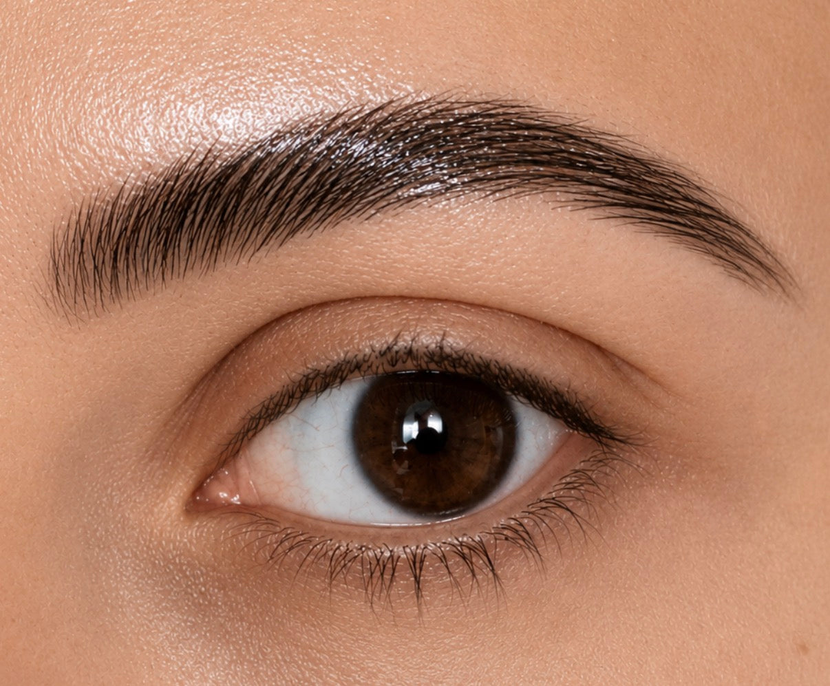 Close-up of a brown eye with well-groomed eyebrow using brow wow oil